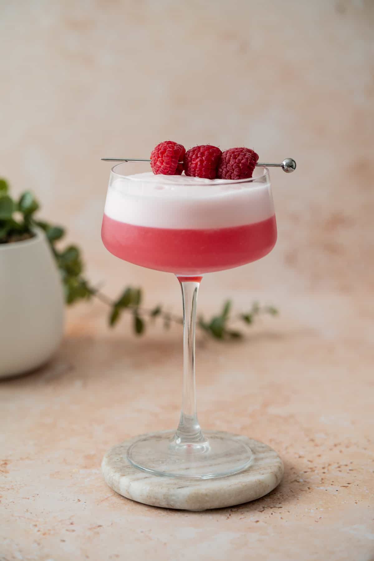 A coupe glass filled with a pink, frothy raspberry gin sour is garnished with three fresh raspberries on a metal pick, resting on a round marble coaster with a blurred potted plant in the background.