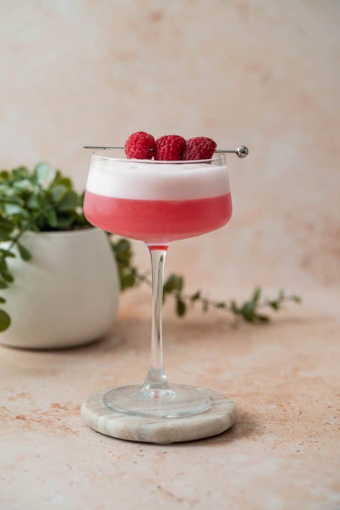 A raspberry gin sour in a coupe glass, topped with thick foam and garnished with three raspberries on a skewer, sits on a marble coaster with a green potted plant in the background.