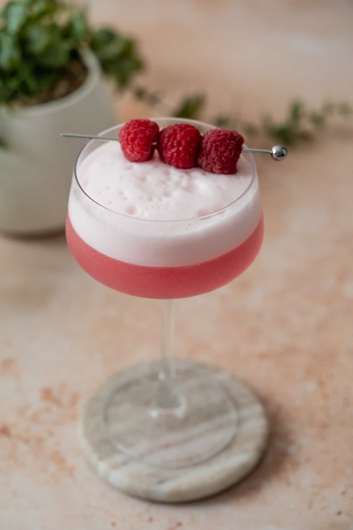 A pink raspberry gin sour with a frothy top is served in a stemmed glass. Three fresh raspberries are skewered on a metal stick, resting across the rim. A potted plant is blurred in the background.
