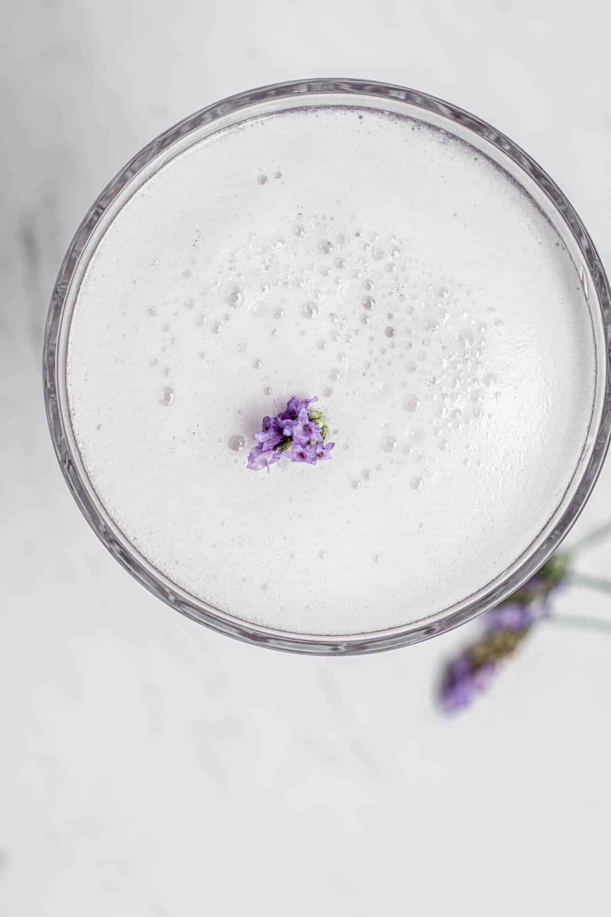 Birdseye view of lavender gin sour in a martini glass with small lavender flower in the middle of the foam of the drink