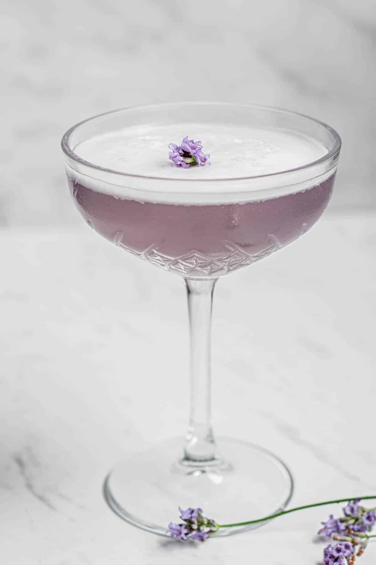 lavender gin sour in a martini glass with lavender flower in the middle of the foam of the drink