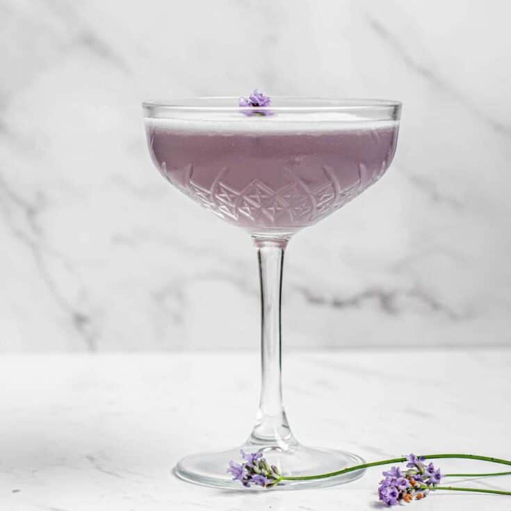 lavender gin sour in a martini glass with small lavender flower in the middle of the drink