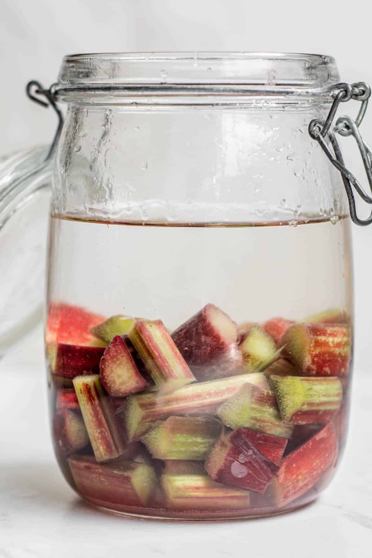 rhubarb infused vodka being made in a sealed jar.