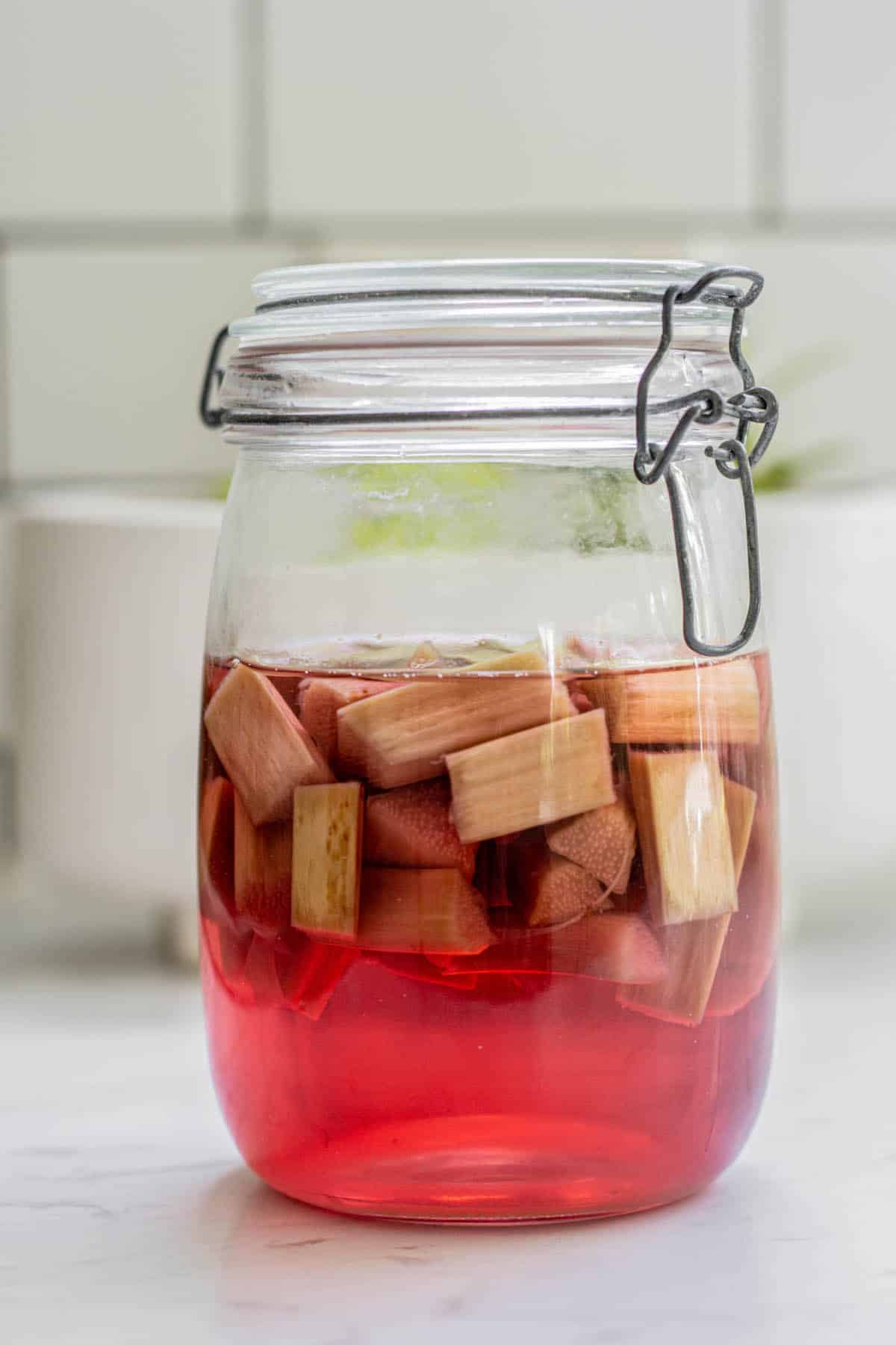 rhubarb infused vodka being made in a large sealed jar.