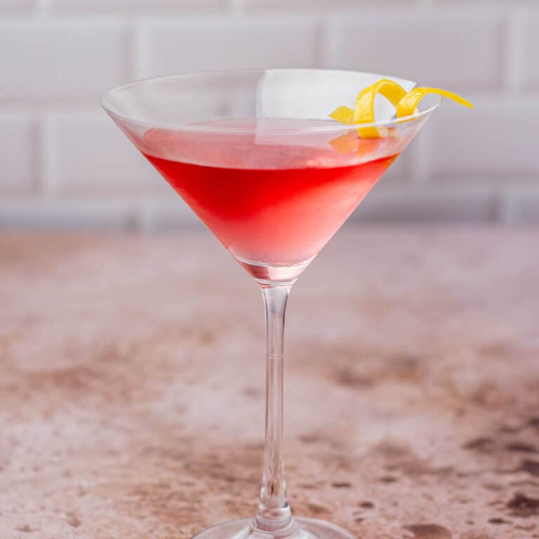 Cranberry Gin Martini