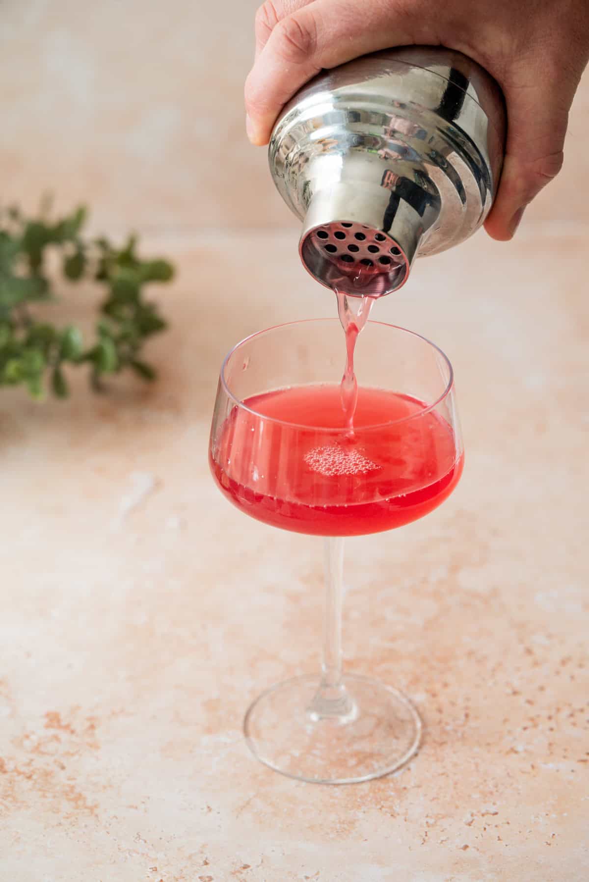 A hand pours a vibrant cherry gimlet from a metal shaker into a stemmed glass on a light-colored surface, with a green plant blurred in the background.